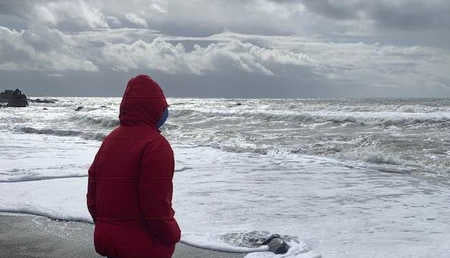 Captain's Chronicles January 22